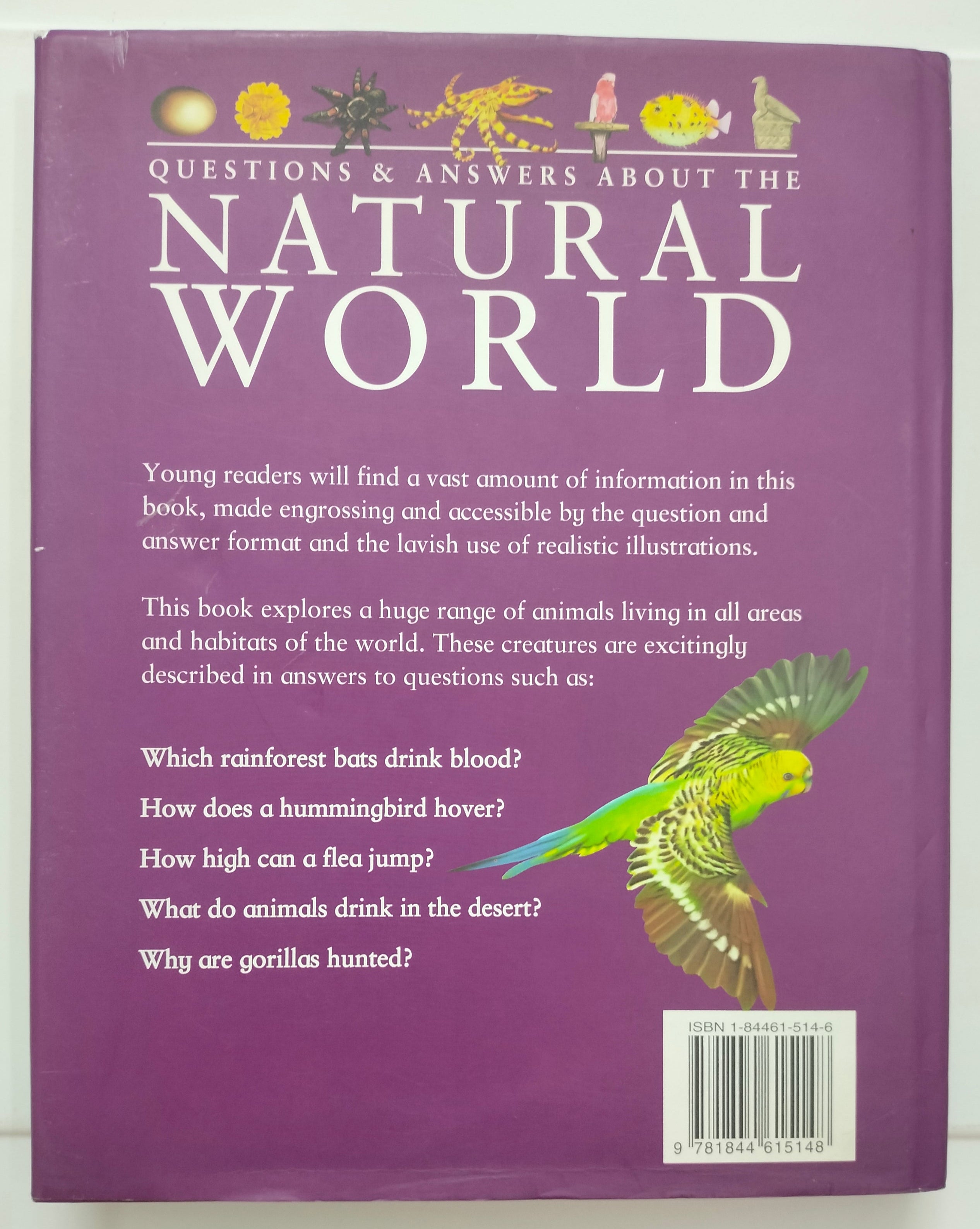 Question and Answers About the Natural World
