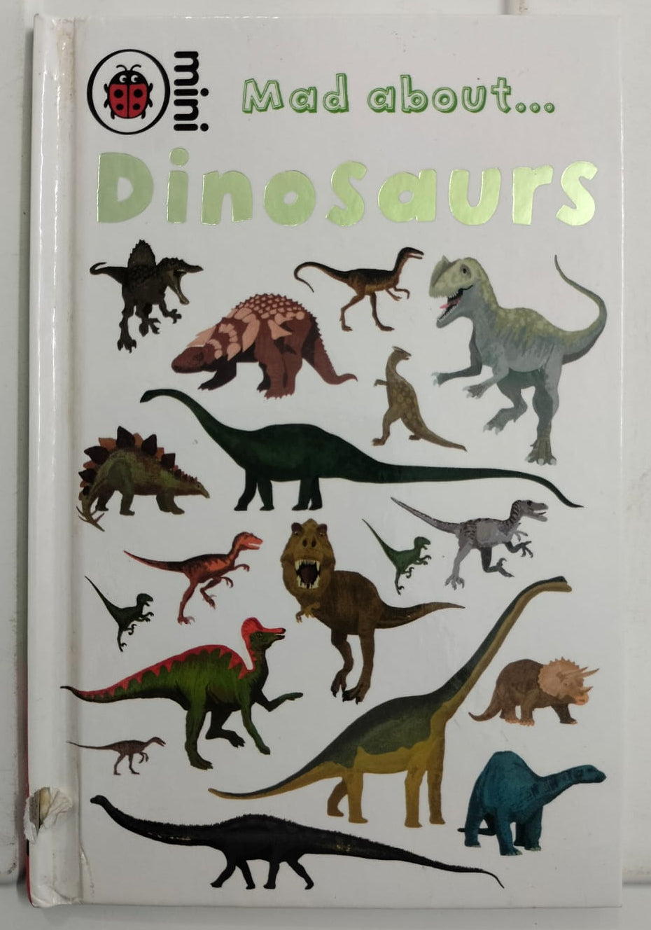 Mad About Dinosaurs