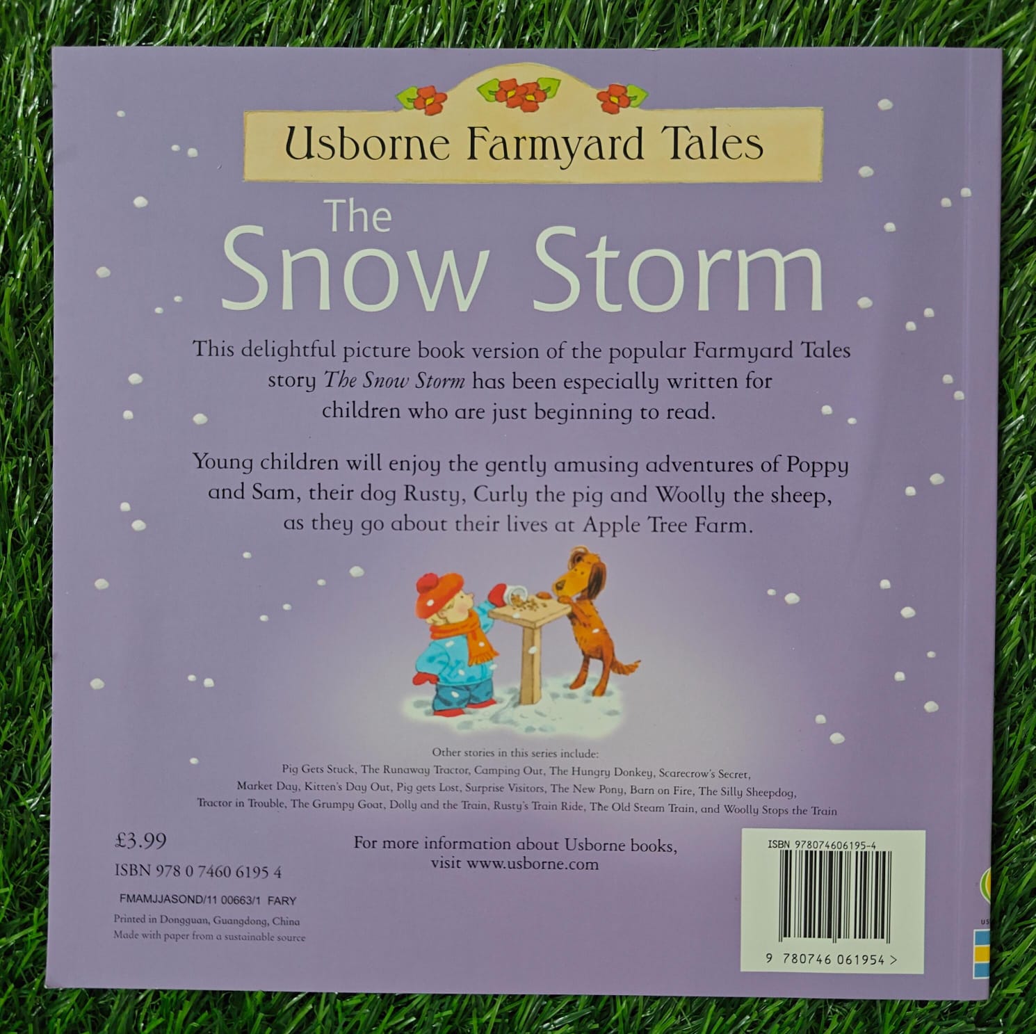 Usborne Farmyard Tales the Snow Storm