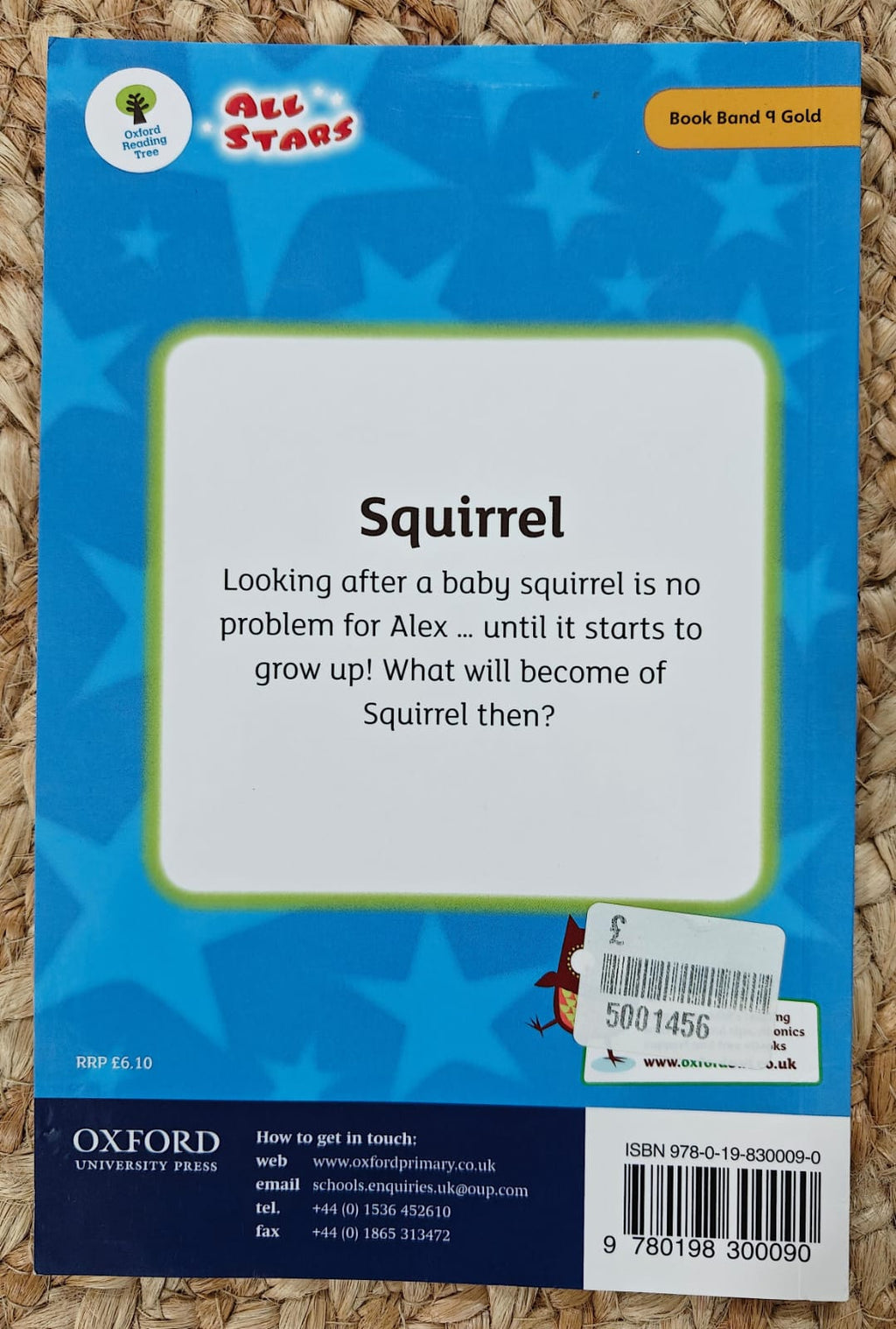 My Chapter Book Collection : Squirrel