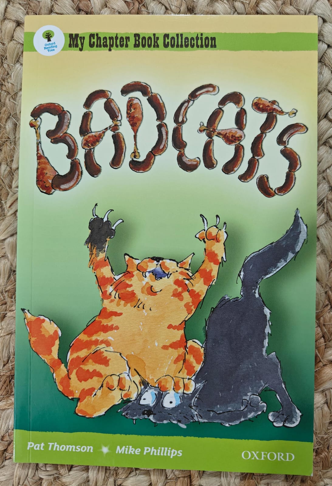 My Chapter Book Collection : Bad Cats
