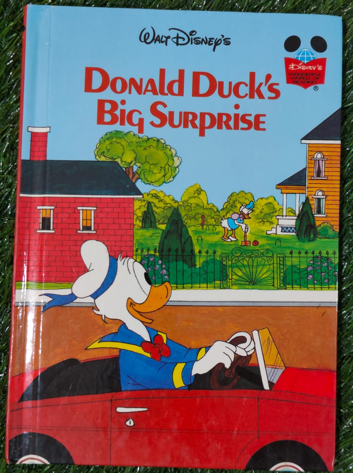 Donald Duck's Big Surprise
