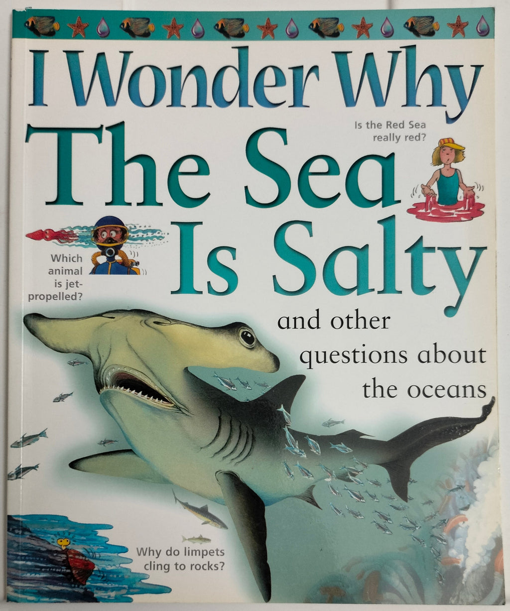 I Wonder Why - The Sea is Salty