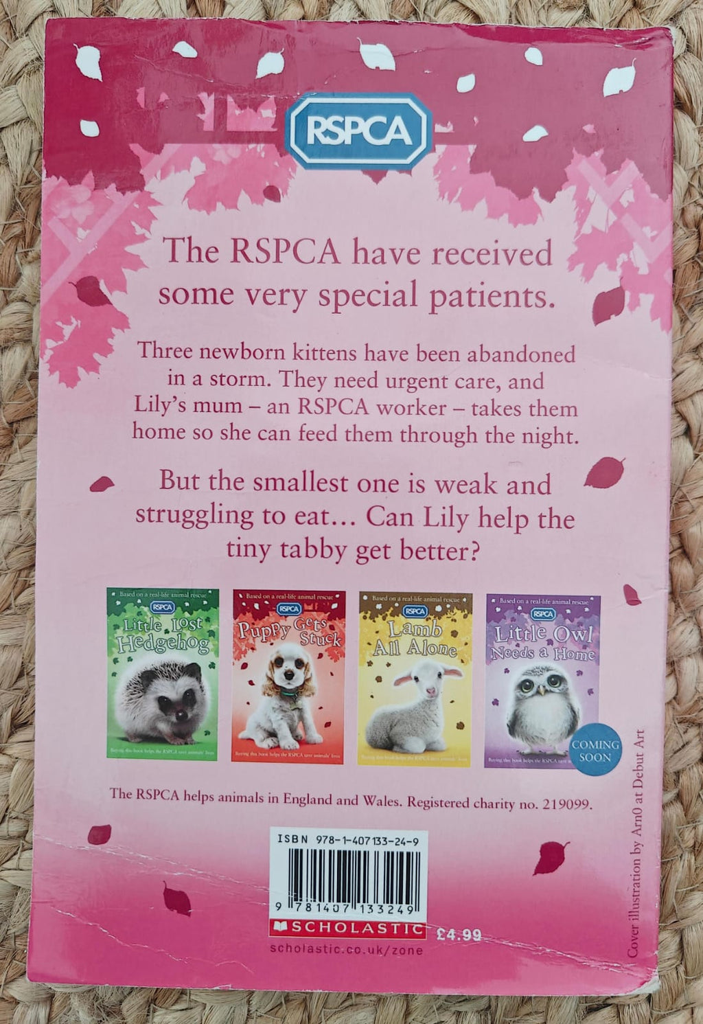 The Abandoned Kitten