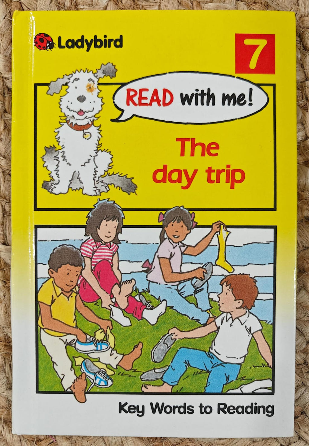 Ladybird Read-With-Me : The Day Trip