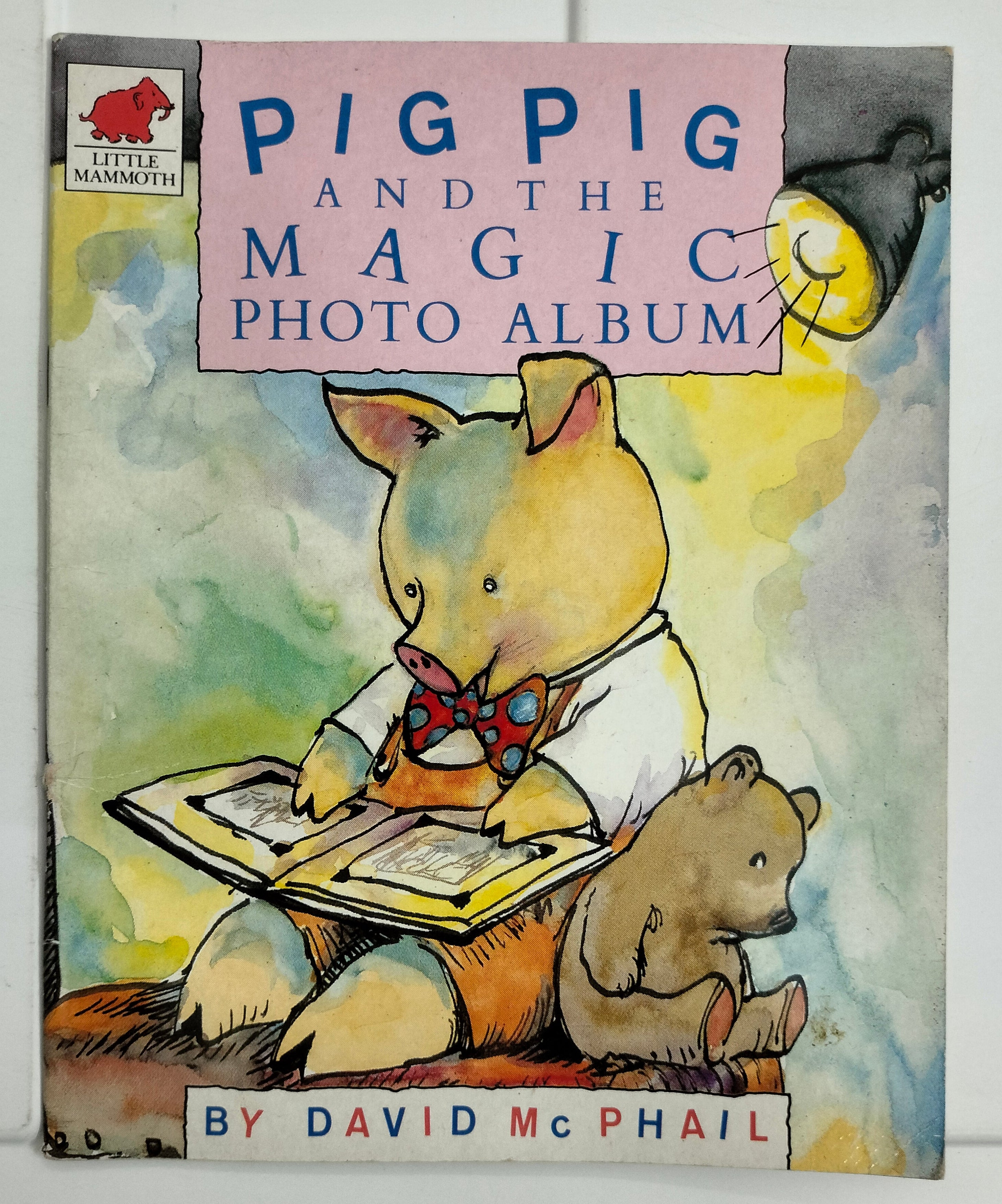 Pig Pig and the Magic Photo Album
