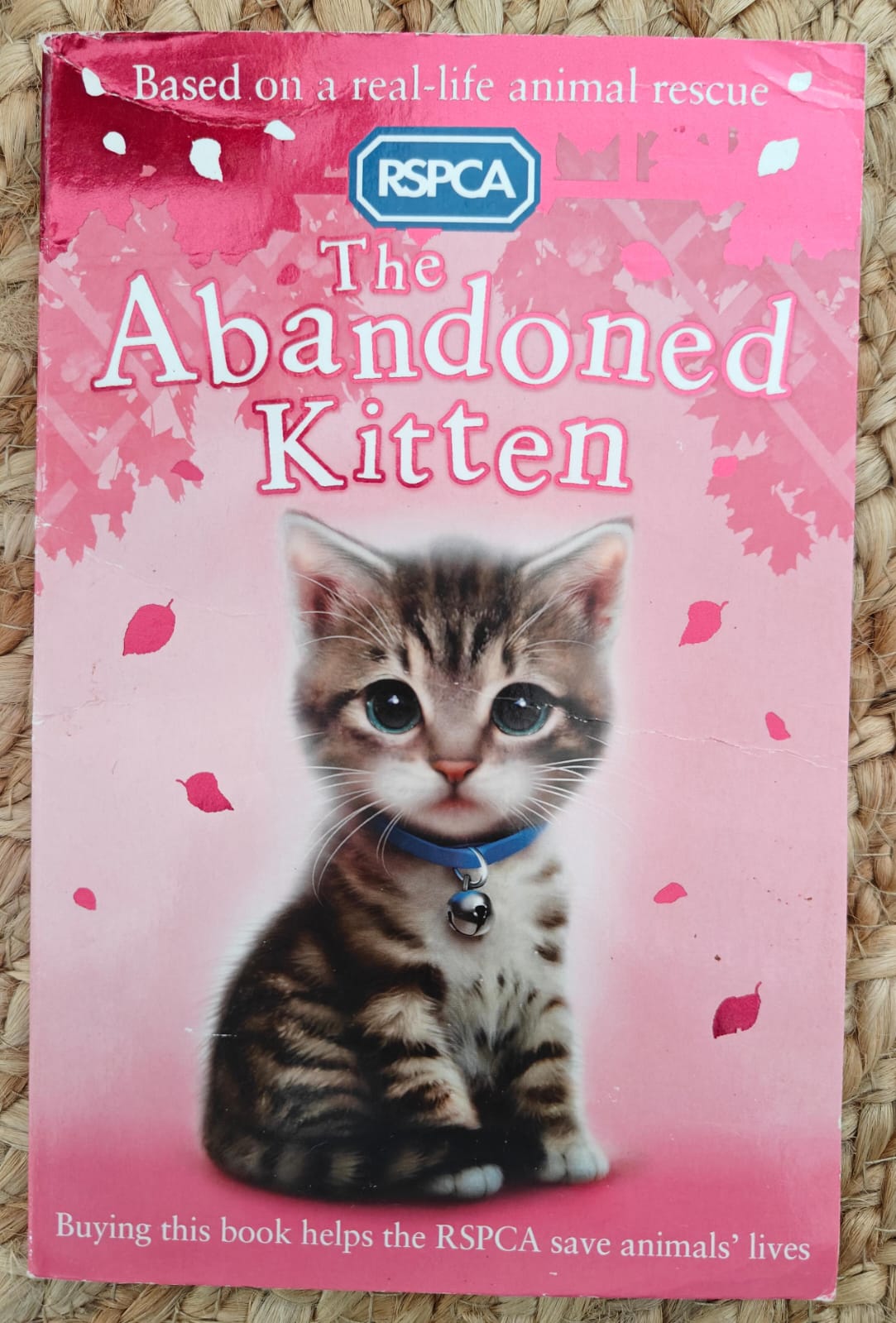 The Abandoned Kitten