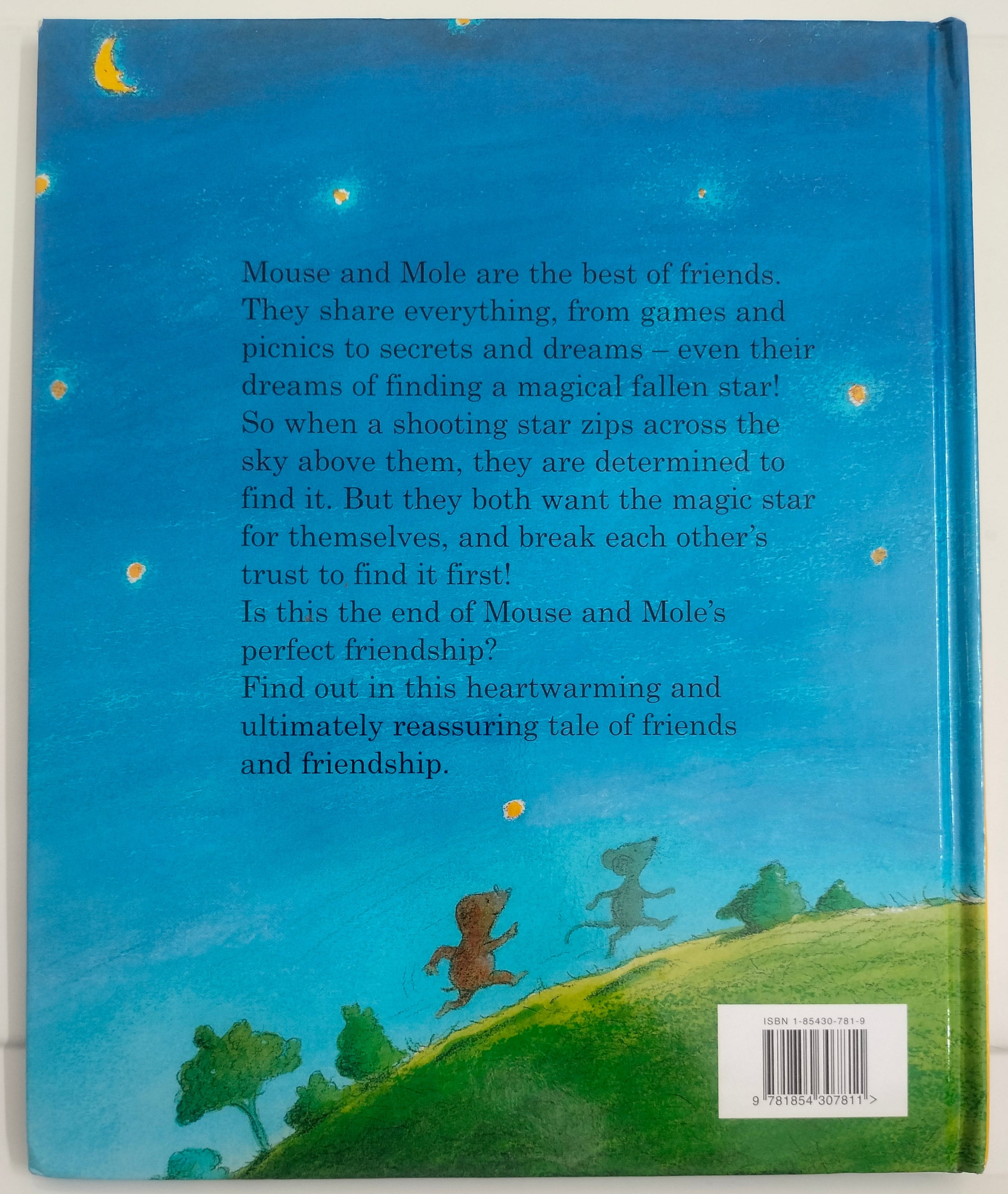 Mouse, Mole and the Falling Star