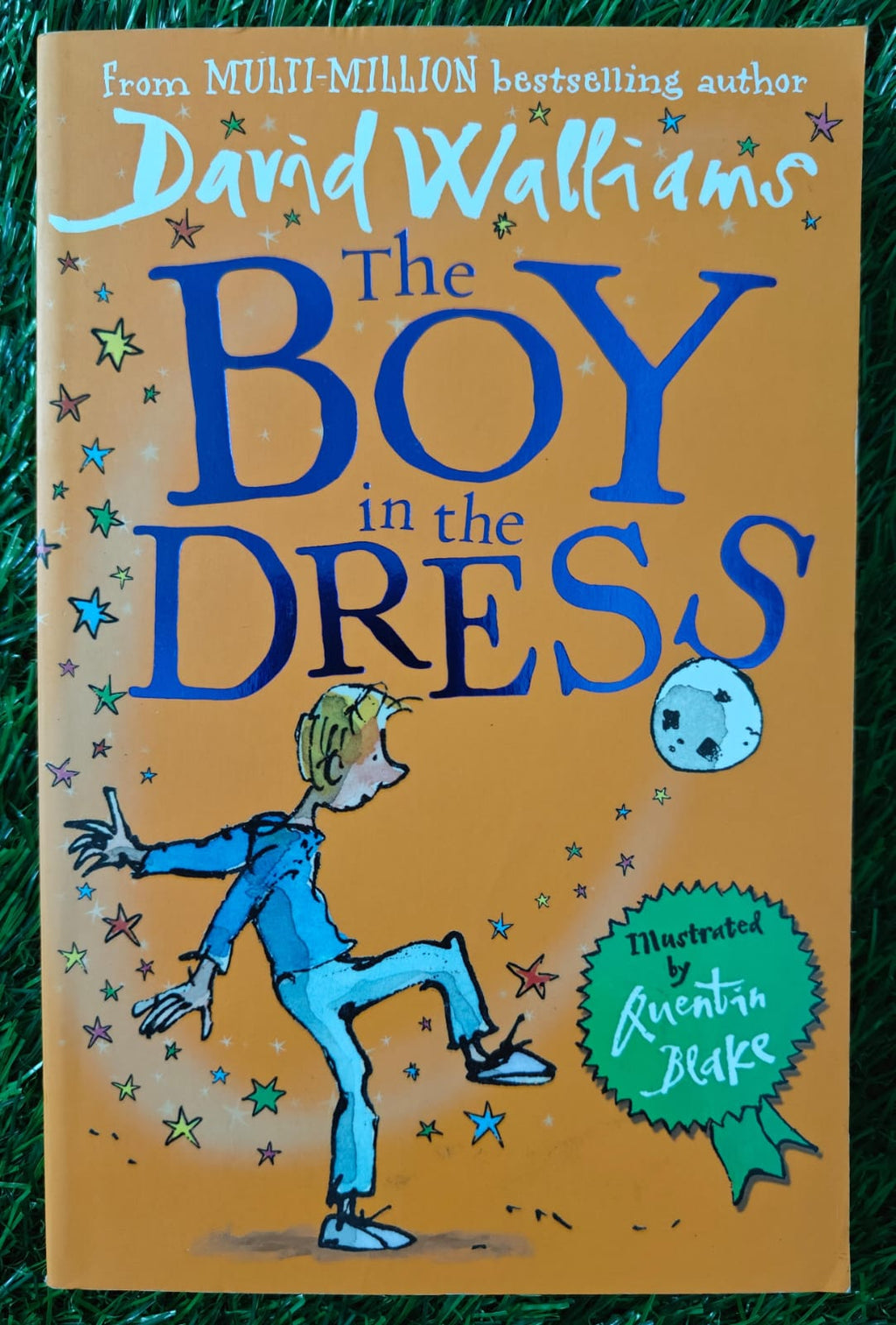 The Boy in the Dress