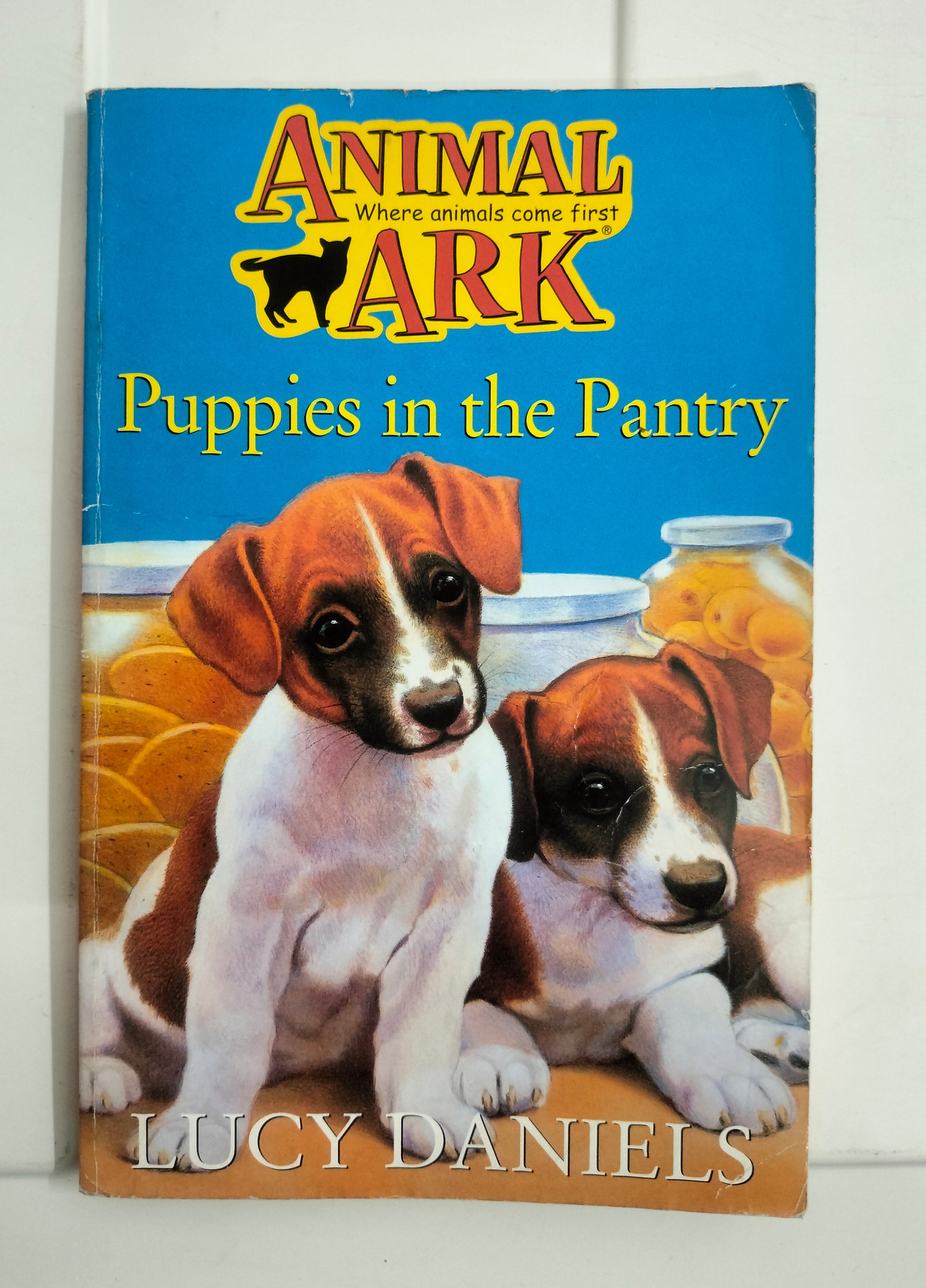 Animal Where Animal Come First Ark