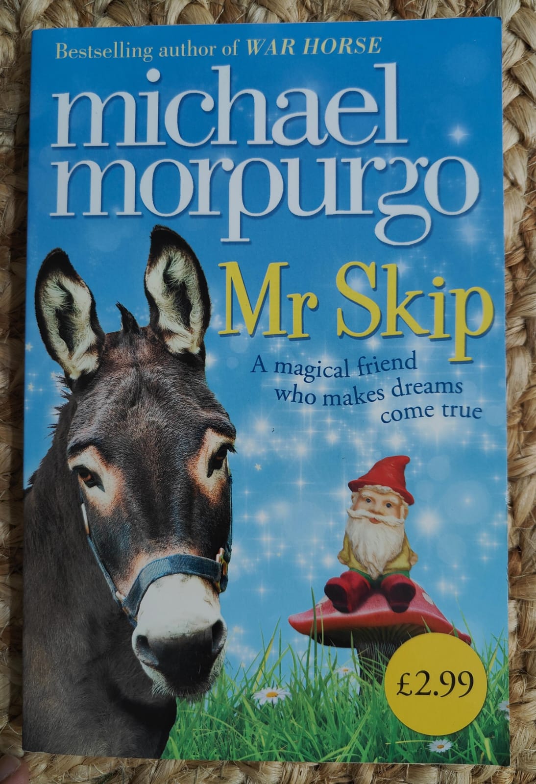 Mr. Skip (Michael Morpurgo)