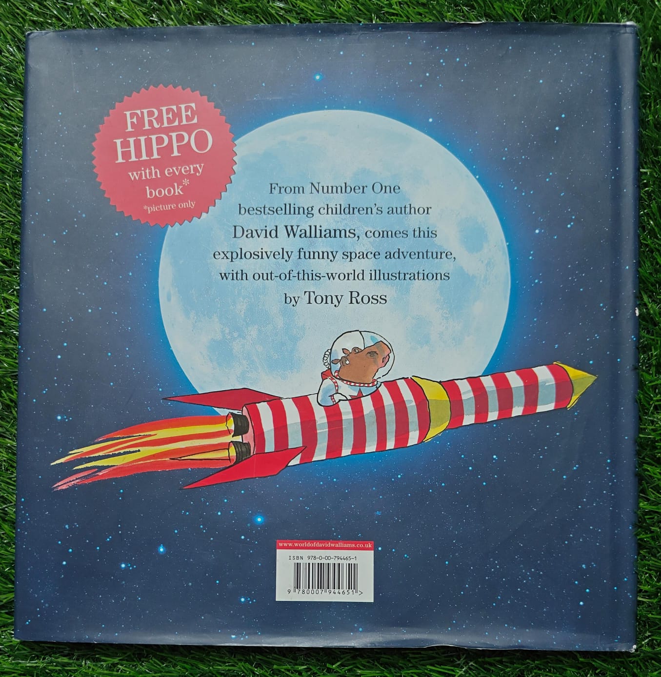 The First Hippo on the Moon
