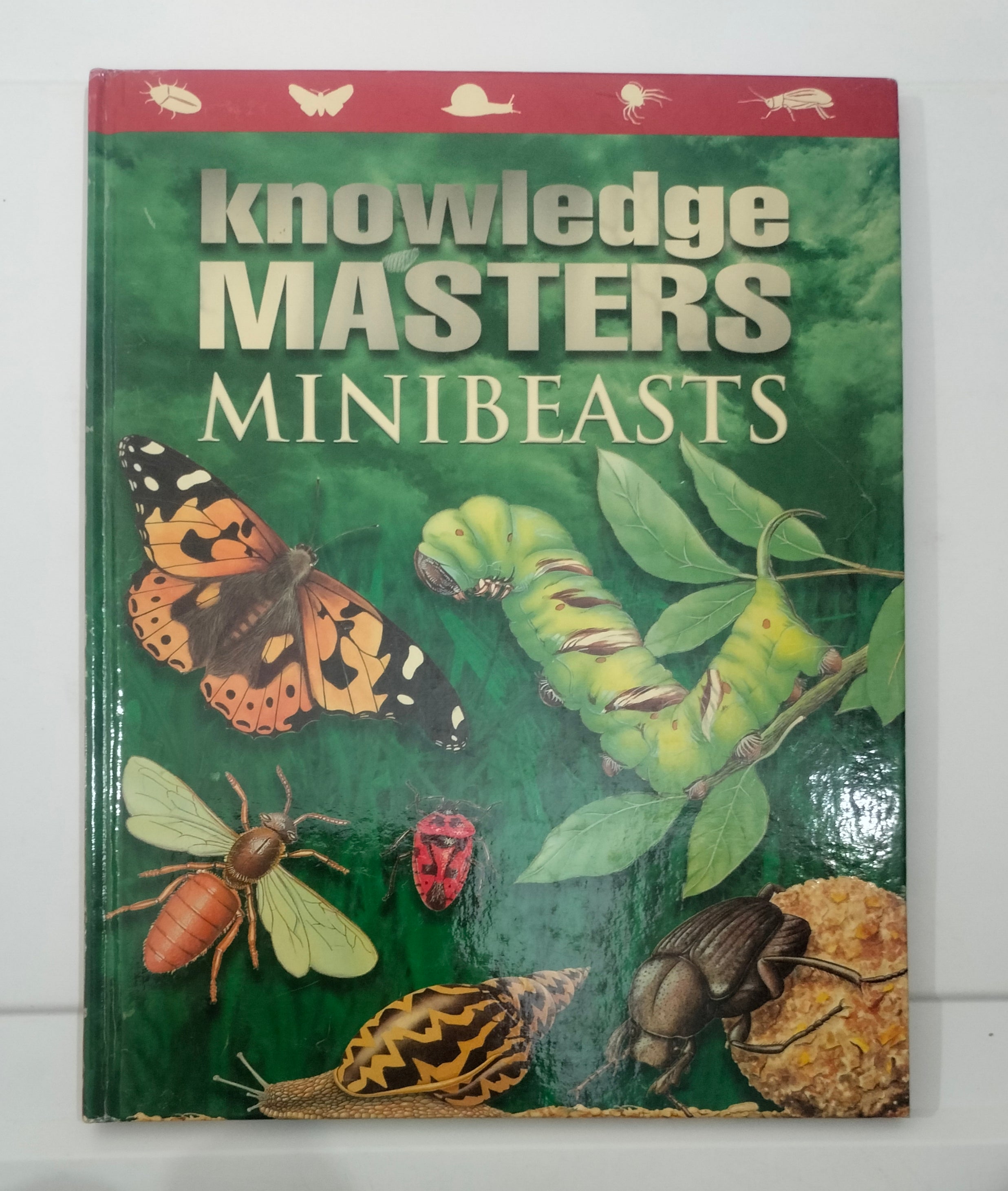 Knowledge Masters Minibeasts